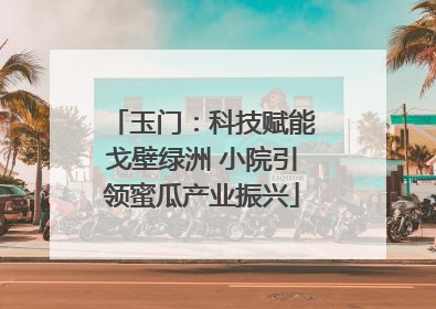 玉门：科技赋能戈壁绿洲 小院引领蜜瓜产业振兴