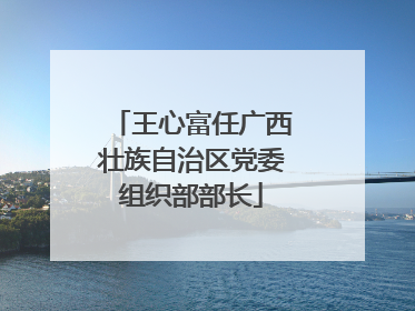 王心富任广西壮族自治区党委组织部部长