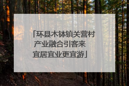环县木钵镇关营村 产业融合引客来 宜居宜业更宜游