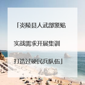 炎陵县人武部紧贴实战需求开展集训 打造过硬民兵队伍