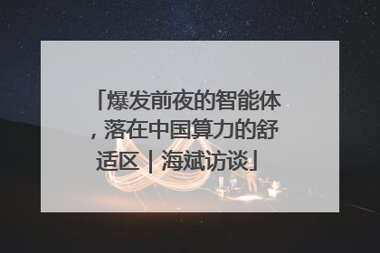 爆发前夜的智能体，落在中国算力的舒适区｜海斌访谈