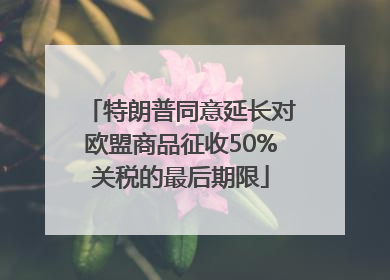 特朗普同意延长对欧盟商品征收50%关税的最后期限