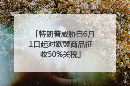 特朗普威胁自6月1日起对欧盟商品征收50%关税