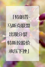 特朗普-马斯克联盟出现分裂 特斯拉股价承压下挫