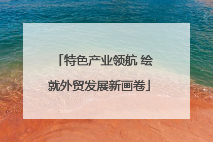 特色产业领航 绘就外贸发展新画卷