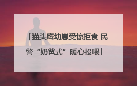 猫头鹰幼崽受惊拒食 民警“奶爸式”暖心投喂