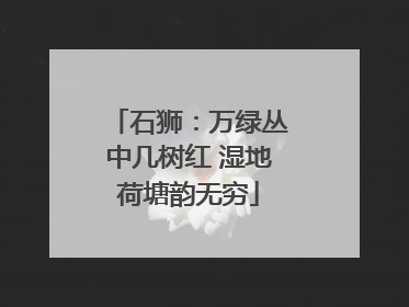 石狮：万绿丛中几树红 湿地荷塘韵无穷
