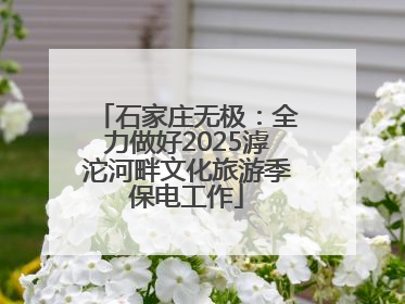 石家庄无极：全力做好2025滹沱河畔文化旅游季保电工作