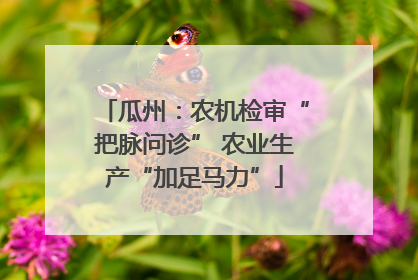 瓜州：农机检审“把脉问诊” 农业生产“加足马力”