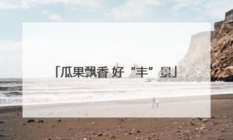 瓜果飘香 好“丰”景