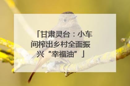 甘肃灵台：小车间榨出乡村全面振兴“幸福油”