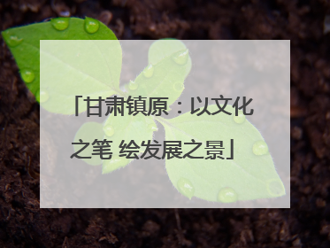 甘肃镇原：以文化之笔 绘发展之景