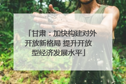 甘肃：加快构建对外开放新格局 提升开放型经济发展水平