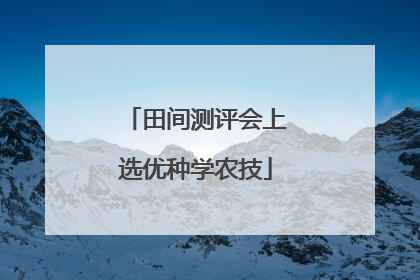 田间测评会上选优种学农技