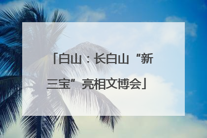 白山：长白山“新三宝”亮相文博会