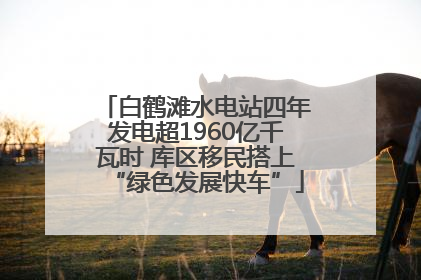 白鹤滩水电站四年发电超1960亿千瓦时 库区移民搭上“绿色发展快车”