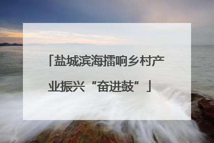 盐城滨海擂响乡村产业振兴“奋进鼓”