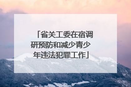 省关工委在宿调研预防和减少青少年违法犯罪工作