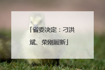 省委决定：刁洪斌、荣刚履新