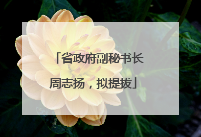 省政府副秘书长周志扬，拟提拔