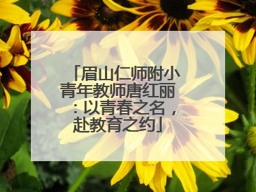 眉山仁师附小青年教师唐红丽：以青春之名，赴教育之约