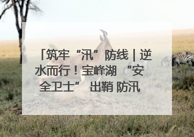 筑牢“汛”防线｜逆水而行！宝峰湖 “安全卫士” 出鞘 防汛应急再添硬核力量