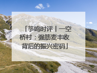 筝鸣时评丨一空桥村：强筋麦丰收背后的振兴密码