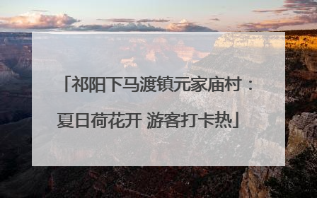 祁阳下马渡镇元家庙村：夏日荷花开 游客打卡热