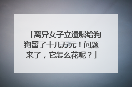 离异女子立遗嘱给狗狗留了十几万元！问题来了，它怎么花呢？