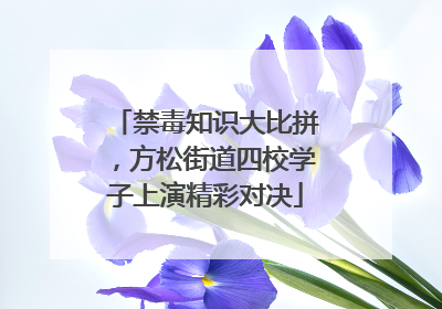 禁毒知识大比拼，方松街道四校学子上演精彩对决