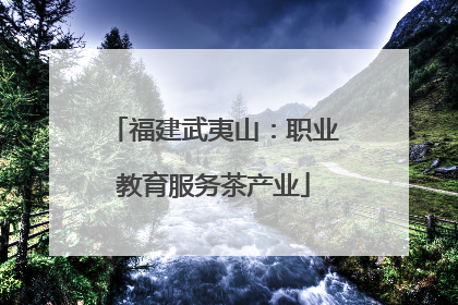 福建武夷山：职业教育服务茶产业