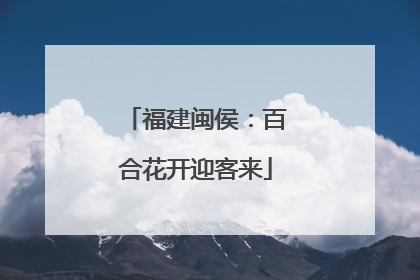 福建闽侯：百合花开迎客来