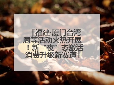 福建·厦门台湾周等活动火热开展！新“夜”态激活消费升级新赛道