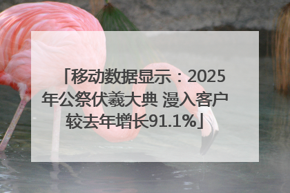 移动数据显示：2025年公祭伏羲大典 漫入客户较去年增长91.1%