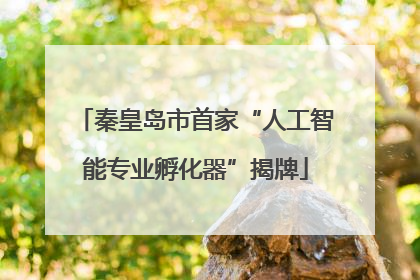 秦皇岛市首家“人工智能专业孵化器”揭牌
