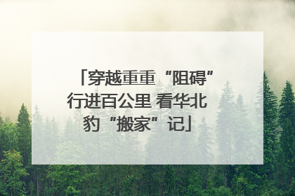 穿越重重“阻碍”行进百公里 看华北豹“搬家”记