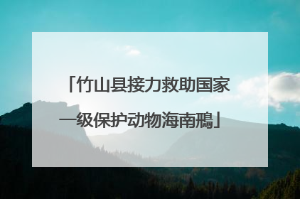 竹山县接力救助国家一级保护动物海南鳽