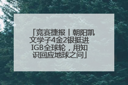 竞赛捷报丨朝阳凯文学子4金2银挺进IGB全球轮，用知识回应地球之问