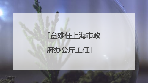 章雄任上海市政府办公厅主任