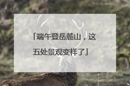 端午登岳麓山，这五处景观变样了
