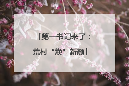 第一书记来了：荒村“焕”新颜