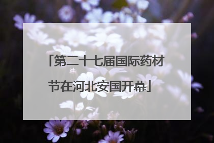 第二十七届国际药材节在河北安国开幕