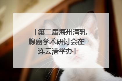 第二届海州湾乳腺癌学术研讨会在连云港举办