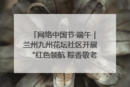 网络中国节·端午｜兰州九州花坛社区开展“红色领航 粽香敬老”端午主题活动