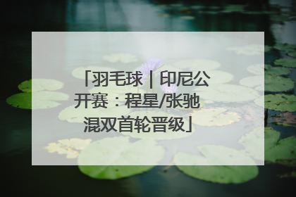 羽毛球｜印尼公开赛：程星/张驰混双首轮晋级