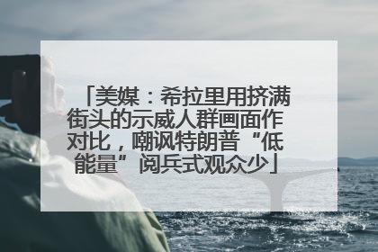 美媒：希拉里用挤满街头的示威人群画面作对比，嘲讽特朗普“低能量”阅兵式观众少
