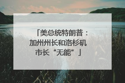 美总统特朗普：加州州长和洛杉矶市长“无能”