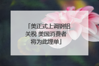 美正式上调钢铝关税 美国消费者将为此埋单