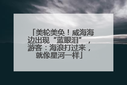 美轮美奂！威海海边出现“蓝眼泪”，游客：海浪打过来，就像星河一样