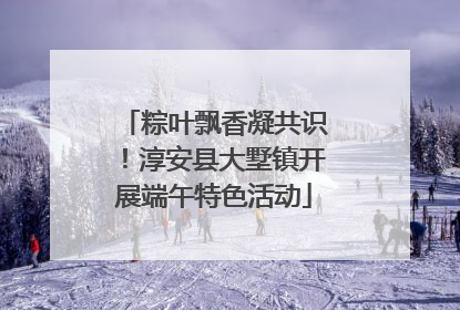 粽叶飘香凝共识！淳安县大墅镇开展端午特色活动